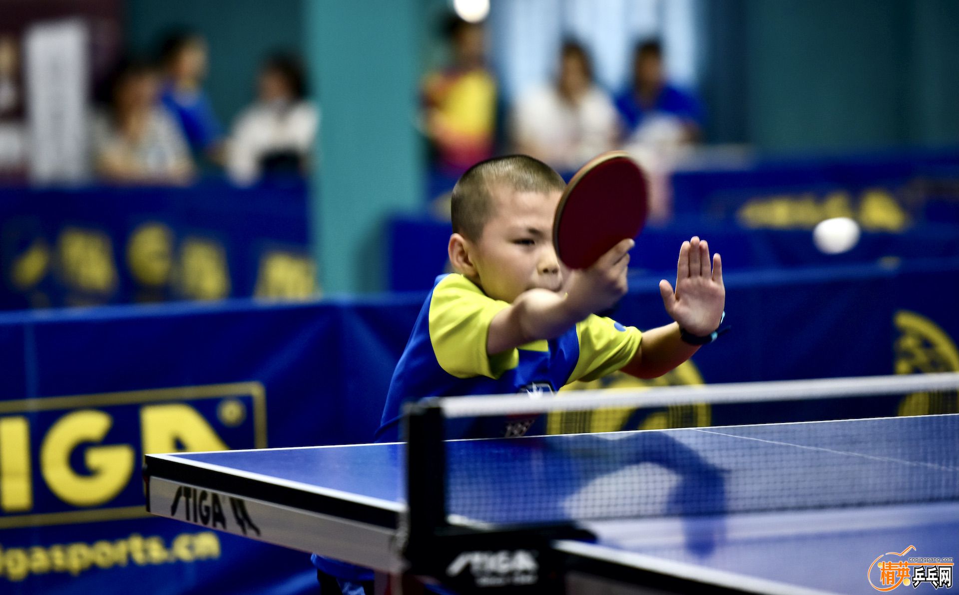 ����Ҫ�ý���ʮ����������İ�