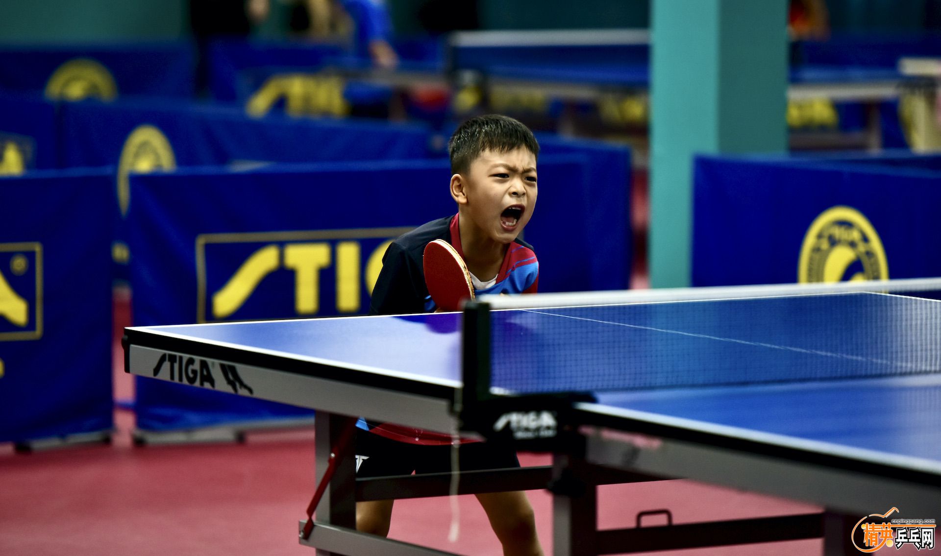 ʨ�������˵�